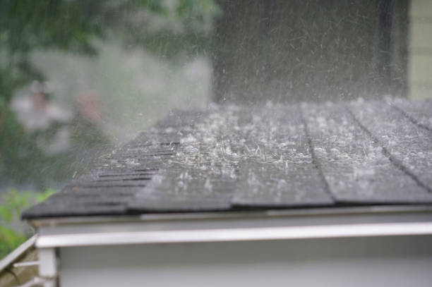 Best Roof Ventilation Installation  in Aberdeen, MS