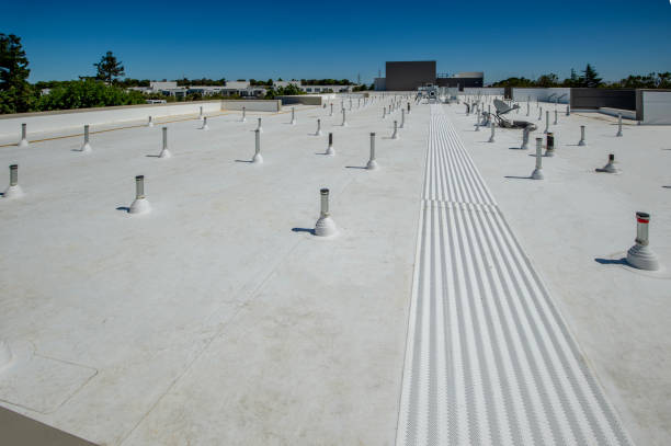 Best Asphalt Shingles Roofing  in Aberdeen, MS